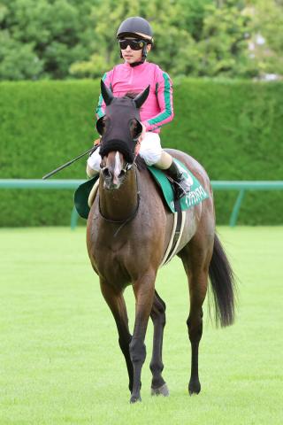 ǯξҵǰƼԥ󥰥ɥáϥϤɷ졡ե˿