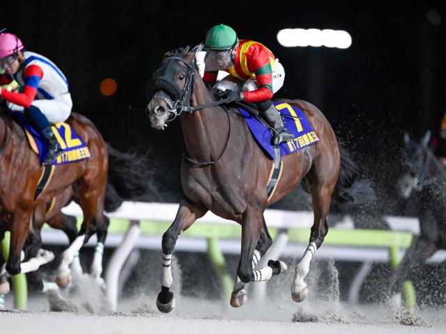 桦粦̡ۥ󥰥ȥܡϢƤǽž4ܤ󤲤