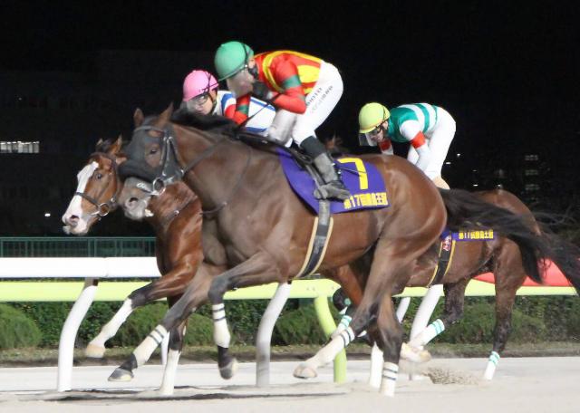 󥰥ȥܡ粦Ϣơȸͤž200