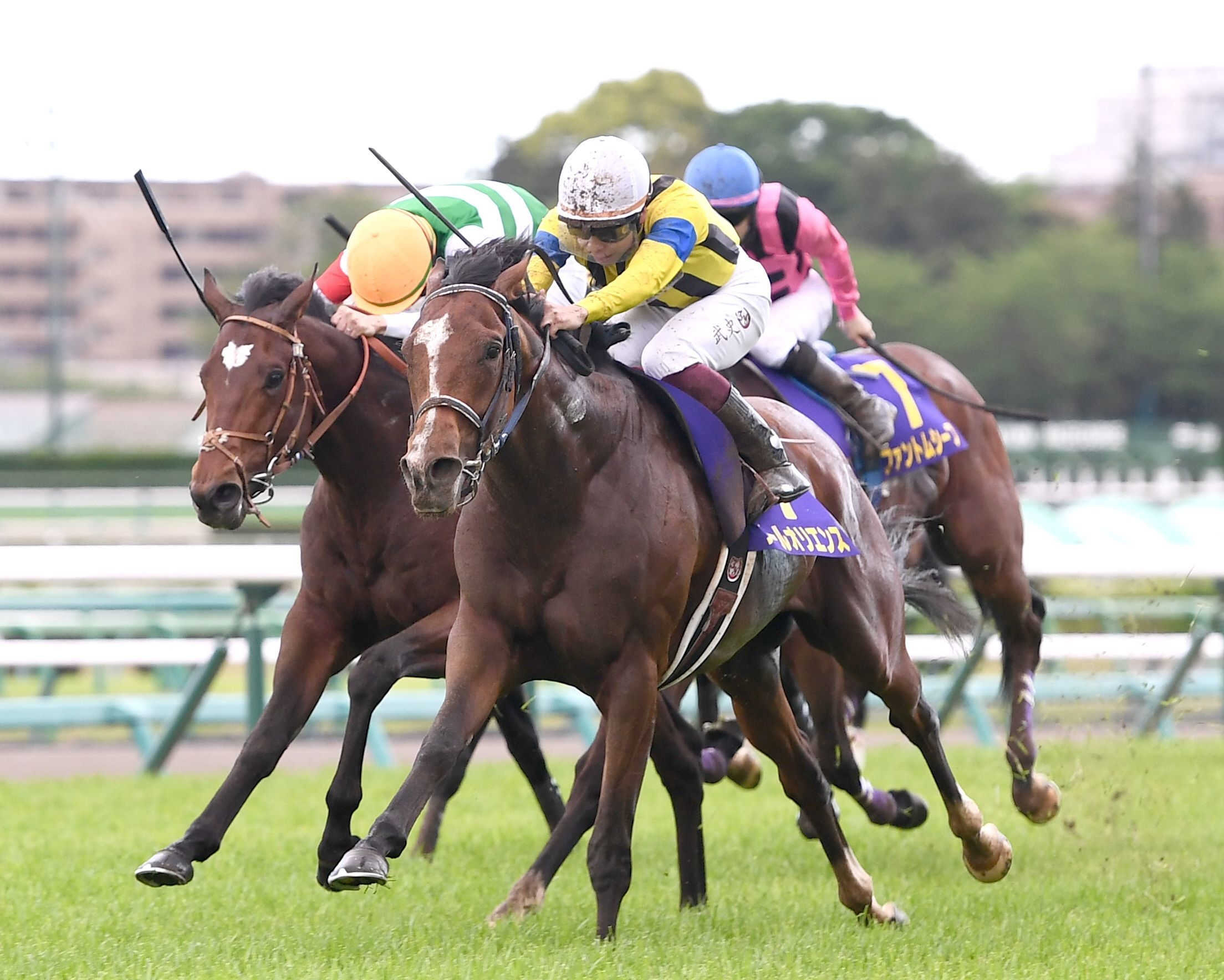 ２３年皐月賞馬ソールオリエンスが引退種牡馬入り　父キタサンブラックやイクイノックスの種付け料高騰で需要高まり