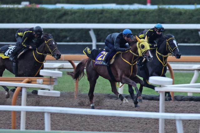 ڥԥCۥᥤ祦ϥꥪ&ﲴȯɽ饹ȥG1