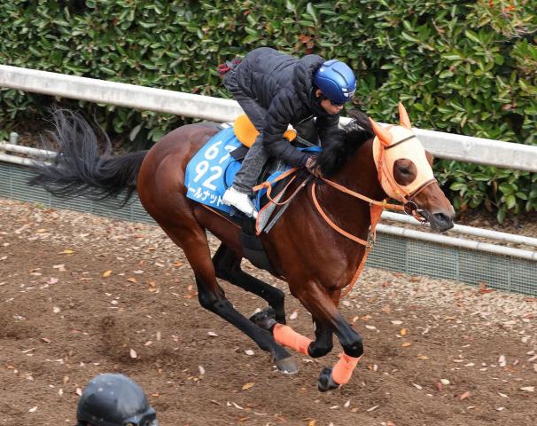 ǰۥʥåȡ˾徺ۡžϢ˼