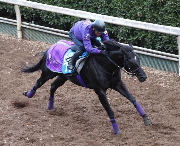 ǰۥΥϩǤä饹1F122