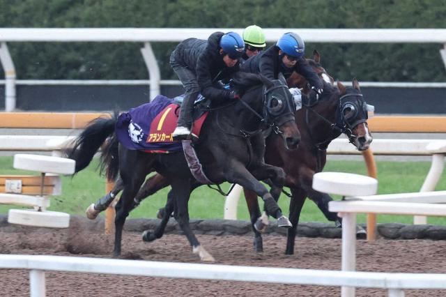 ںJF콵ɤۥ󥫡롢饹1F110ڤ̣