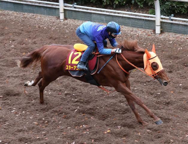 ںJF콵ɤۥ˥ϩ24F544ա֤֤ɹ