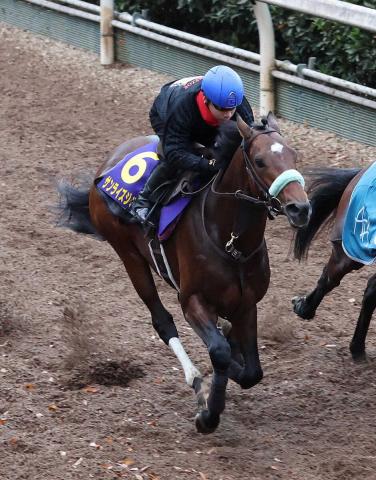 【チャンピオンズC】サンライズジパング、1番時計タイ4F50秒6　池添も合格点