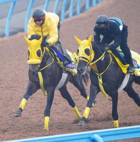 ڥԥCۥ륽ƥɤʻڻա֤ư