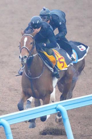 ڥݥ˥ޥƥ䡼Sۥۡ꡼ȡޤ1F116աưʤ