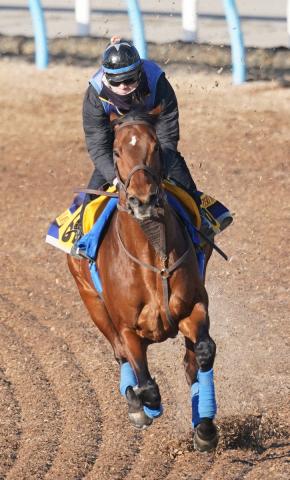 ڥݥ˥ޥƥ䡼Sۥߥʥ󥹡ӤФá¤ɲ