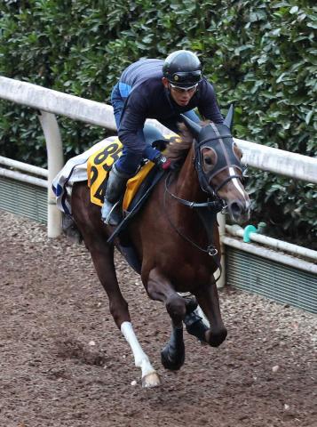 ڥݥ˥ޥƥ䡼SɤäƤҤȸ