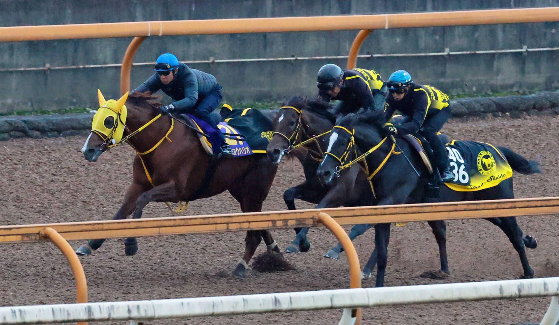 ڥԥ󥺣áۥᥤ祦ϥꥪŷȯɽǥ饹ȥ󡡷ãפǣϣƬ콳дϿĤ