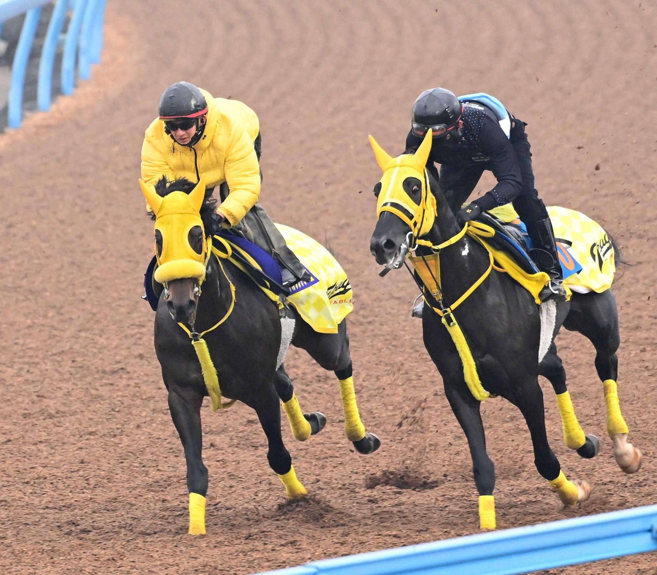 ڥԥ󥺣áۥ륽ƥɤƥäȱԿڻա־֤夬äƤƤ״֤