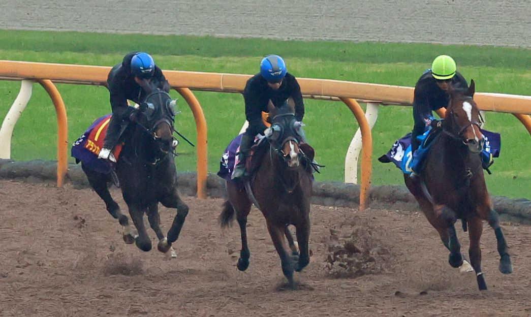 ںʣơۥ󥫡롡٤ڤ̣̤ǤĹ¼ͧ־Ȥ꤬ФƤ