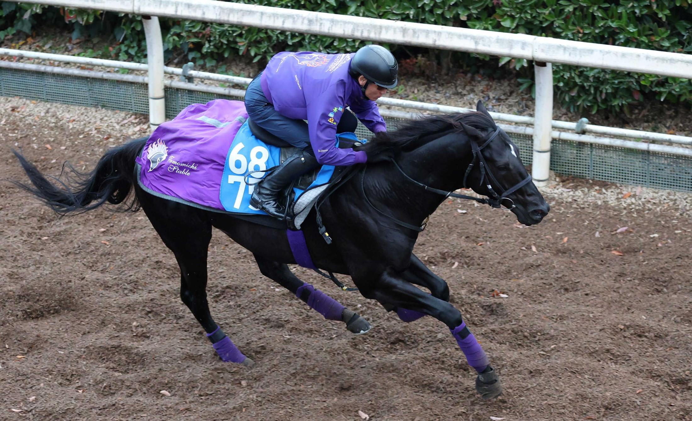 ǰۥΥڲк䡡ͧƻա緿ϤǤ鹭Ϥ׳ꥳ