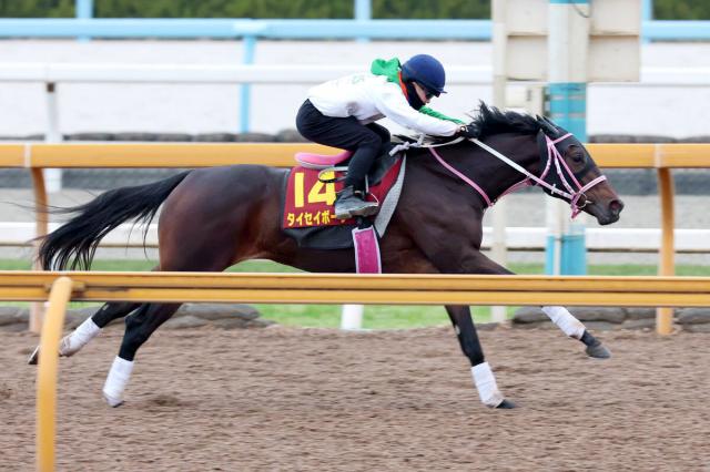 ںJF1ۤޤޤ徺!졦CWǹסܡ˾Ĵա֤󤷤äꤷƤƤ