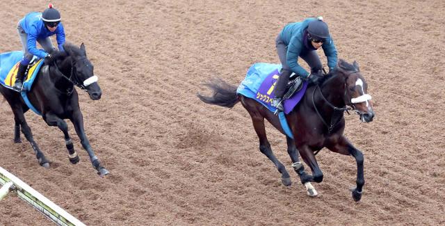 ڥԥCưǹɾGϥåڥ󥹡ԡɴʬ4ϥ521Ʋ1ֻץ