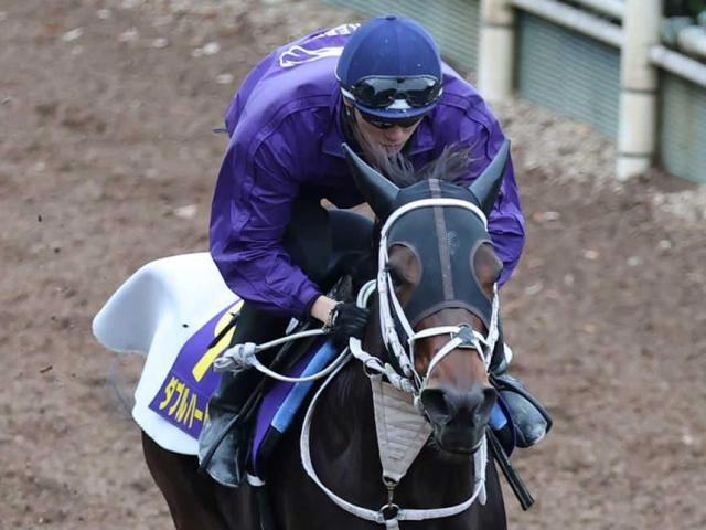 ڥԥ󥺣áۥ֥ϡȥܥɡǯ֤ϣ֤ء쥳ɶȿư԰¤ݻա餤ǽФȻפ