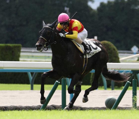 京都2歳S覇者ジャスティンビスタ　吉岡師「問題がなければホープフルS」　鞍上は引き続き北村友