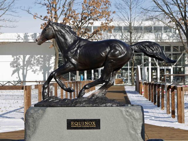 ΥåΥ֥ ΡۡѡǤϪܼŤ