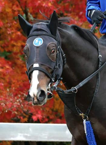 ưۥåϼιޥ뤬饹ȥ󡡼ﲴ