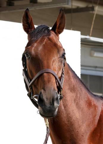 ڥԥCֿۡ͵ϤȻפޤɡġ12ȤΥʥ륫ߤĴդϥݥȤ