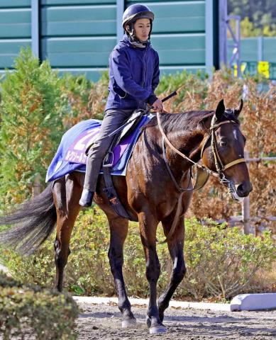 ڥԥC3ϥ륯륫ե糰16֤Ĵաå̤ơġ