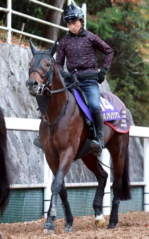 ڥԥCۥϥΥ쥰ꥢ36֡ͰĴաȾǤޤǤ館