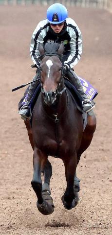 ڥԥCĴӤΥॸåȤ47֡رġְϤʤɤǺǸ峰˽Фơġ