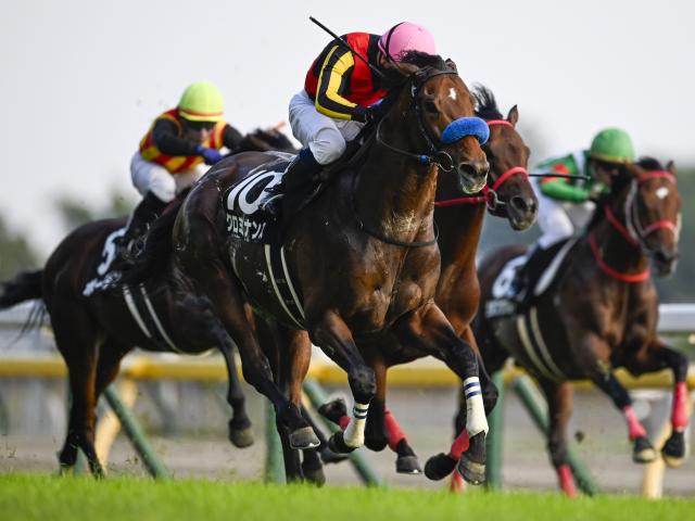 ڥƥ䡼Sϡۥߥʥ󥹡C.᡼뵳ꡢۡ꡼ȡͺ귽ʤ14Ƭ