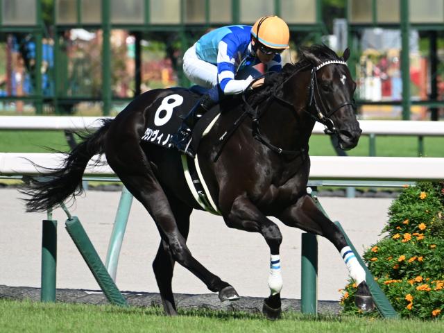 ǰϡۥΥľꡢʥåȡ¼ͧ쵳ʤ14Ƭ