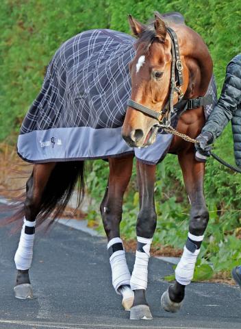 POG㥵ȥʡꥢ饭³̳꤬λҡǥץ줬˺ǥǥӥ塼