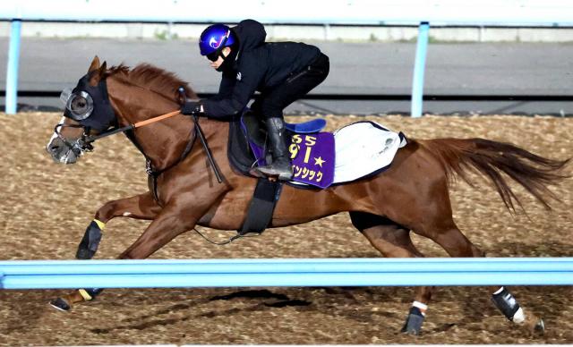 【香港ヴァーズ】アーバンシックは併せ馬ができない香港を見据えた調整　大きく先行した僚馬を一気に抜き去る　