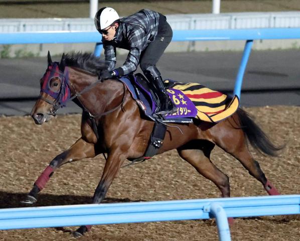 【香港マイル】エンブロイダリーは一杯に追われ鋭く伸びる　森一調教師「時計的にも予定通り」