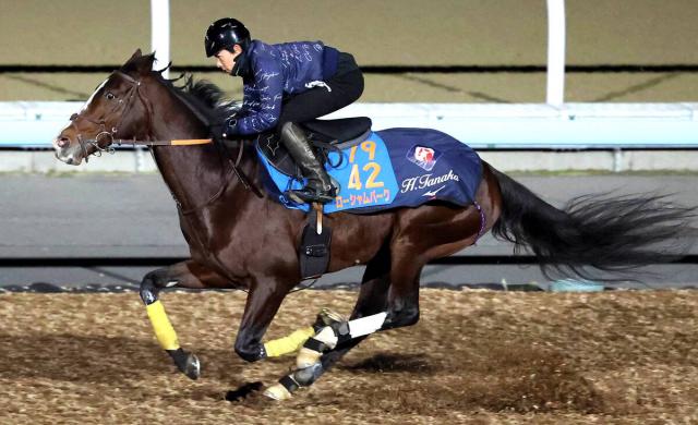 【香港カップ】ローシャムパークはしまいに脚を伸ばす　田中博調教師「一度使われて(喉がなるのは)見せていない」