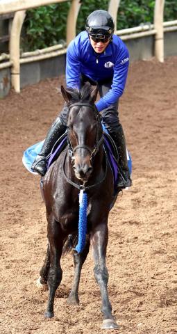 ưۥѥC11Υǥץ󥹥ǯܡߤ䤳S2奵󥶥ʥɥϥץS