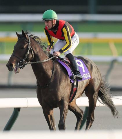 【注目馬動向】有馬記念参戦のミュージアムマイルはCデムーロ騎手に継続騎乗を依頼　天皇賞・秋で2着