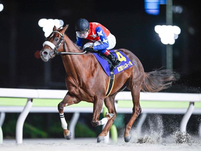 【大井・ジェムストーン賞結果】8番人気ベイビークエストが連勝で重賞初制覇 3連単74万1140円の大波乱