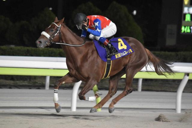 【大井競馬　ジェムストーン賞】8番人気ベイビークエスト完勝　御神本「いいスピードを持っている」
