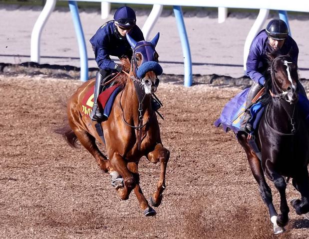 【阪神JF】2連勝中アルバンヌが坂井瑠星騎手で追走先着　田中博調教師「ジョッキーに確認してもらえて良かった」