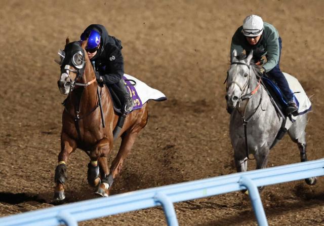 ڹۥХ󥷥å徺ա1ٻȤäʬư褦ˤʤäƤ