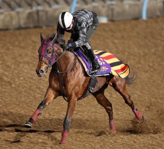 ڹޥۥ֥꡼ڲա֥饹1FοӤ⽽ʬ