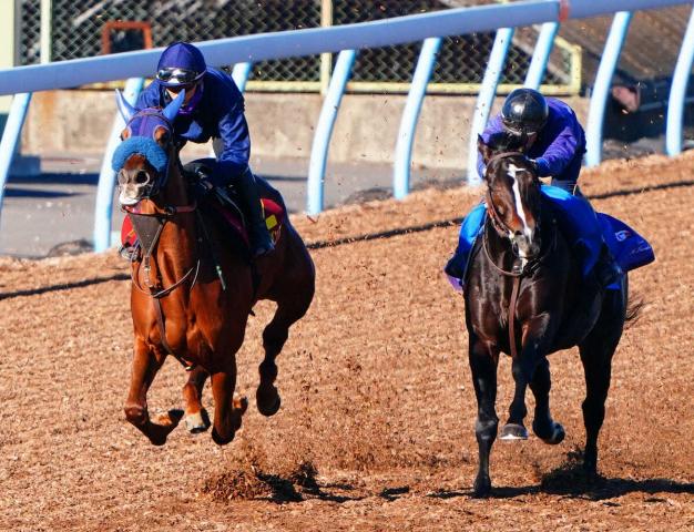 ںJF1ɤۥХ̡;Ͻʬꡡդϲ䤫ɽ