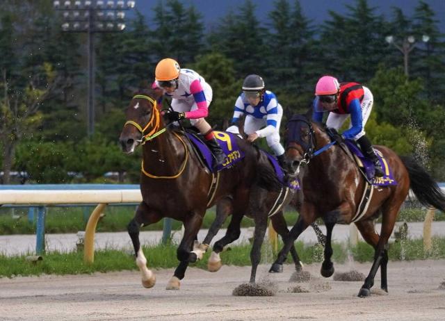 ڥƥ䡼Sŷ񤫤⸫ԥ奢ĩ