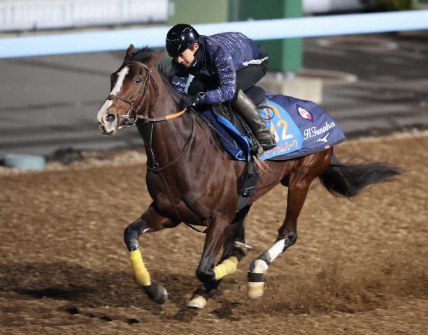 ڹåסۥѡи!ա֥ꥺत