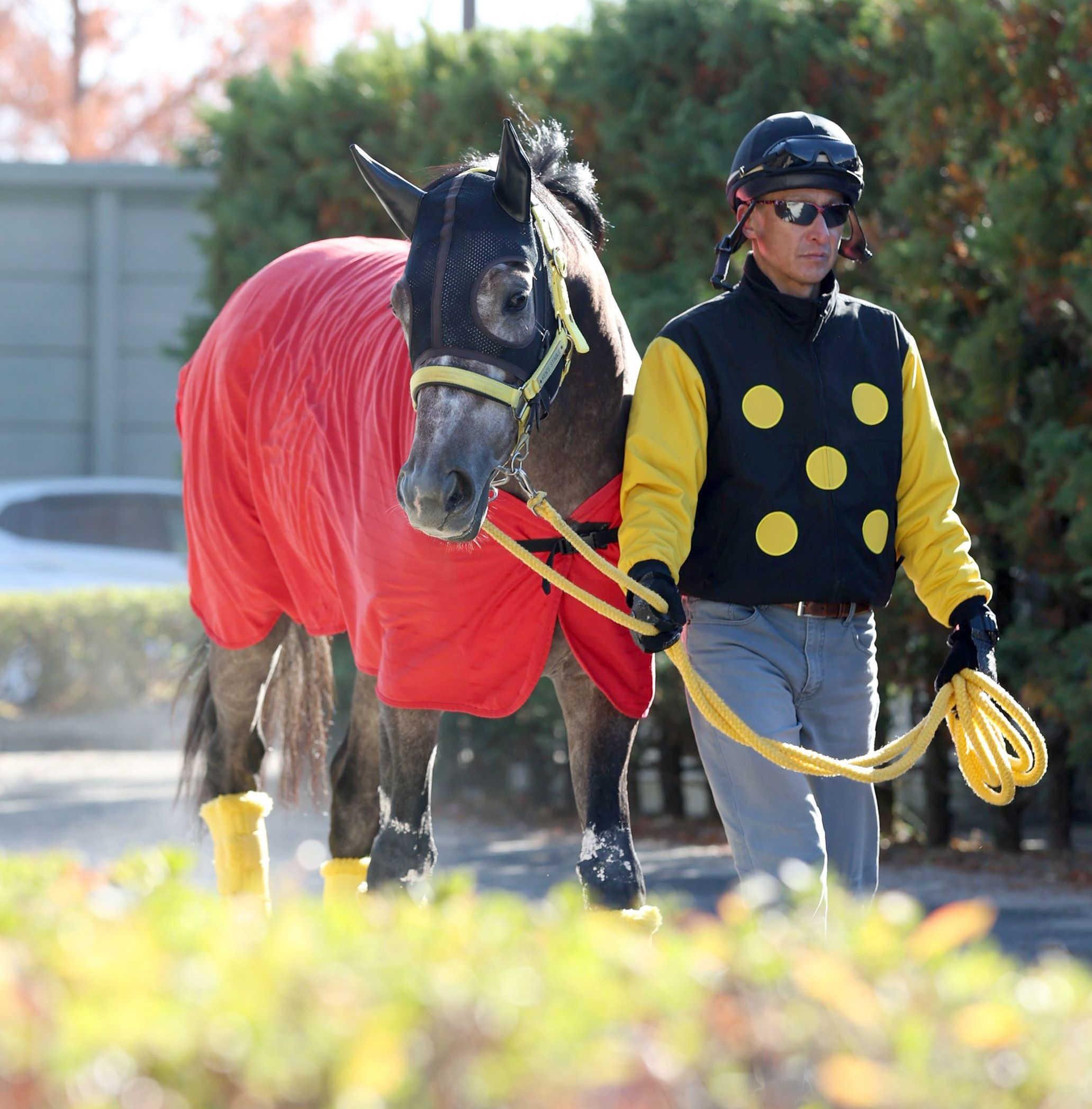 ڿۥϡ٥󡡻ФΥϥ꡼Ρ֥Ķ˴ԡƣաɤäƤ餬