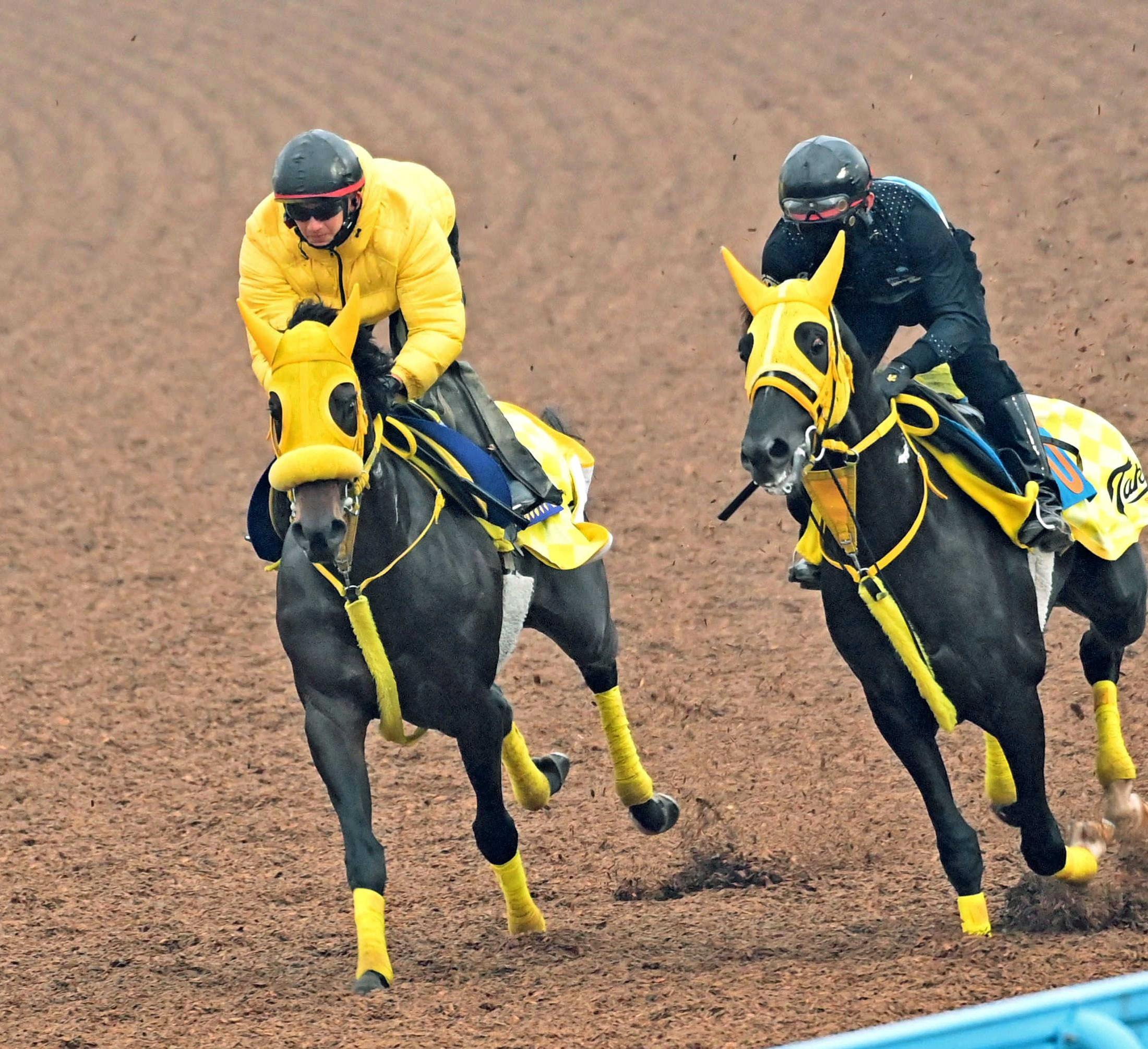 ڥԥ󥺣áۥ륽ƥǯƱȣ֡ܤľعڻաּ򸫤ʤʤ줽