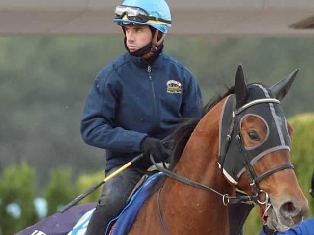 ڥԥ󥺣áۥ롼ƹȥåץå륯륫եƳɥХףäǤϥեС󥰷