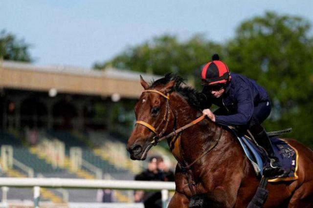 ڹץȡۥȥΥ졼ϥࡼȿӷءå֤ͽ&ȯɽ