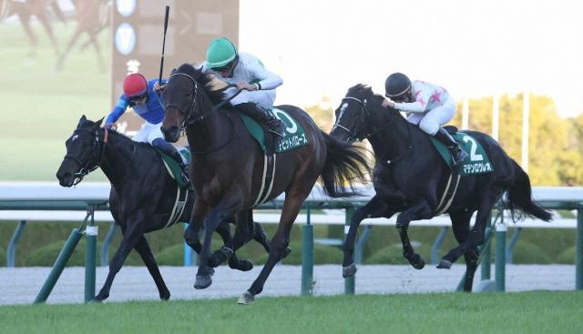 ľȴФǥӥåȥХˡʻơ桡ľ