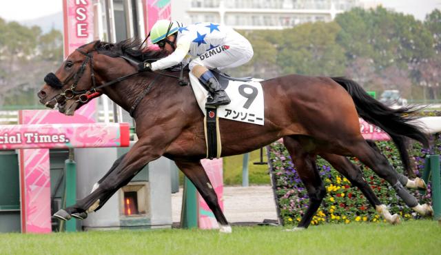 ǥӥ塼Ǿä󥽥ˡȥߥ륳ǥࡼ ʥ顦īġʡ